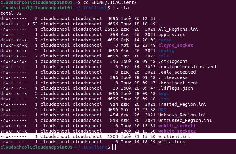 Citrix Virtual Apps and Desktops high DPI resolution issues 2 Cloud School Docs - image 86 -